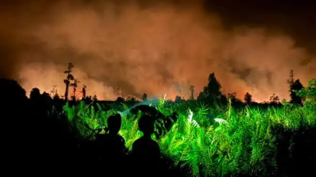 Tragedi Langit Kuning: Realita Musim Karhutla Kalimantan