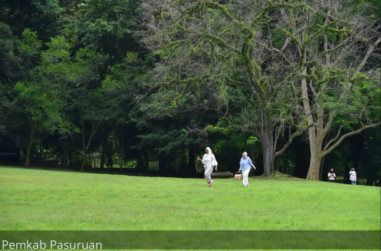 Pesona Kebun Raya Purwodadi Gudang Tanaman Biji Terlengkap di Indonesia