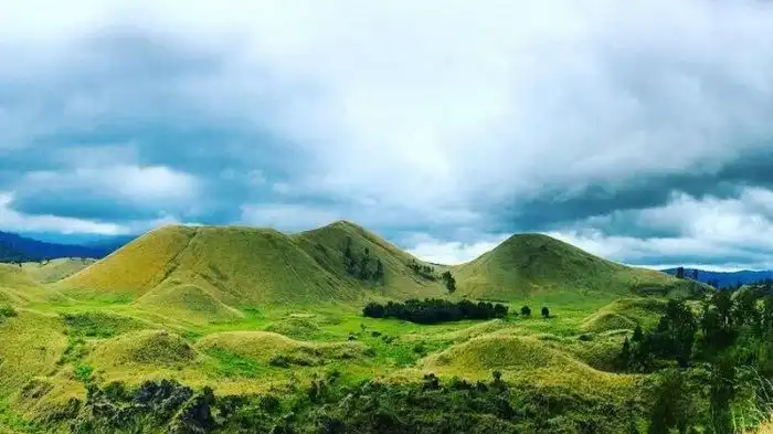 Melipir ke Bondowoso: Menemukan "Selandia Baru" dan Kopi Terbaik di Belantara Jawa Timur