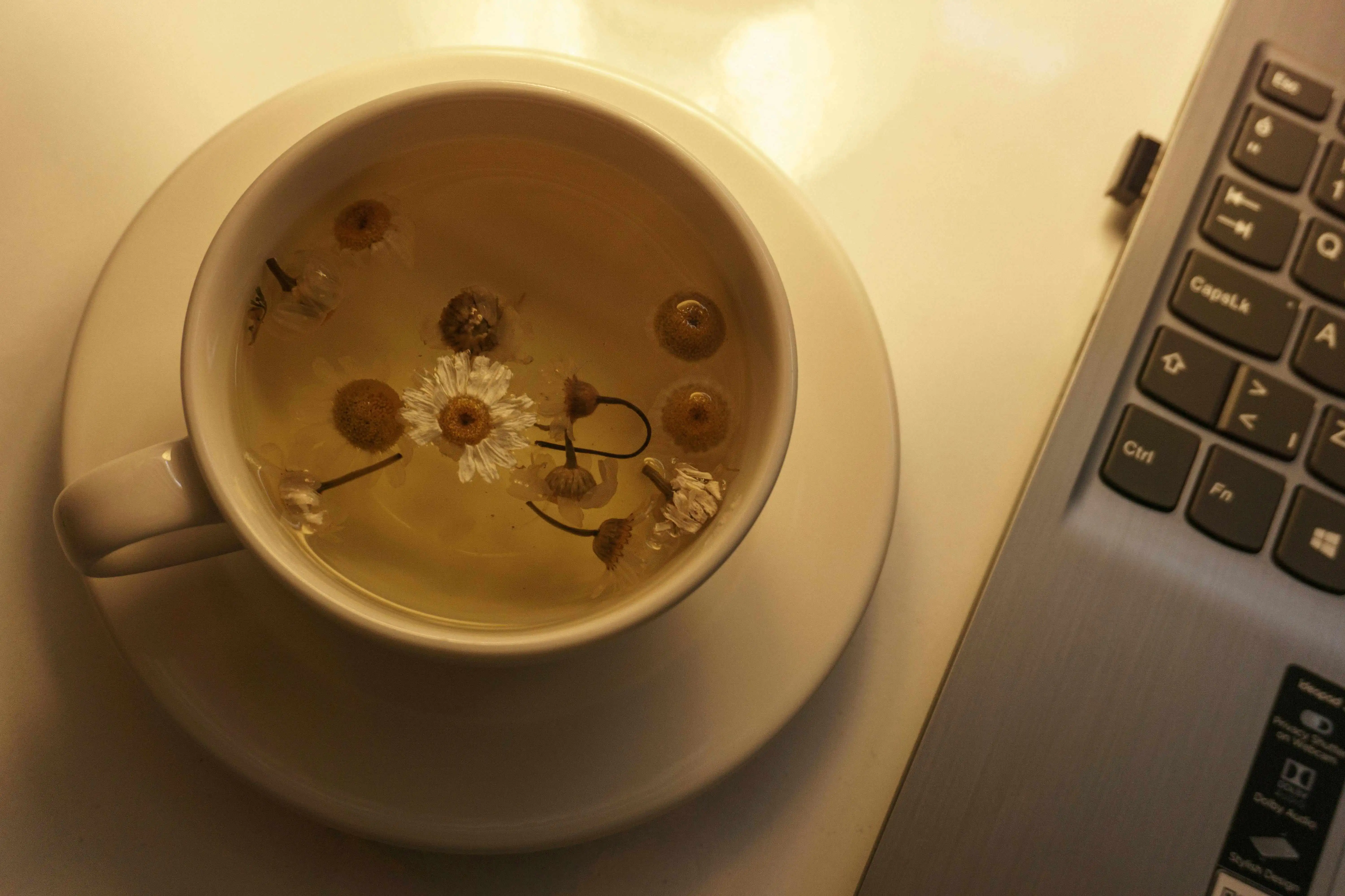 Macam Teh, Ramuan Pusaka untuk Umur Panjang dan Tubuh Bugar