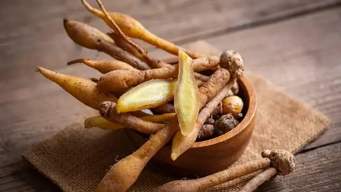 Intip Segudang Manfaat Temu Kunci bagi Kesehatan Tubuh