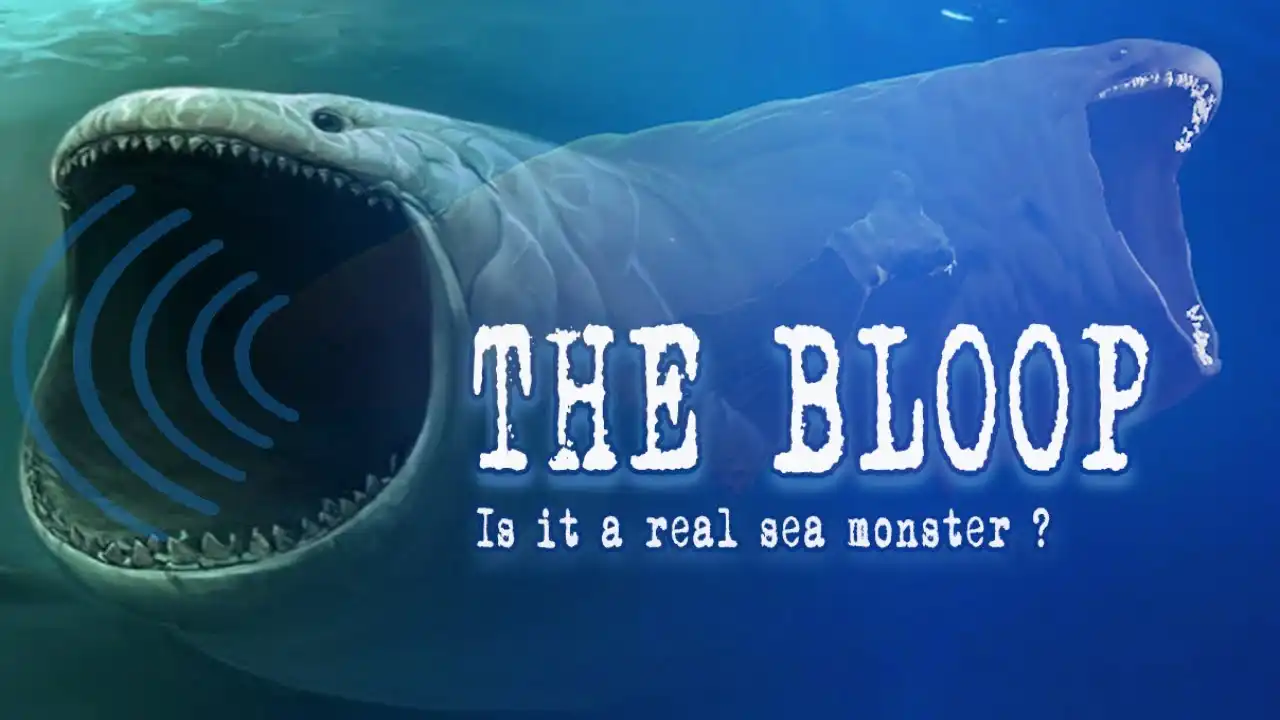 Mengenal The Bloop Misteri Laut Dalam 