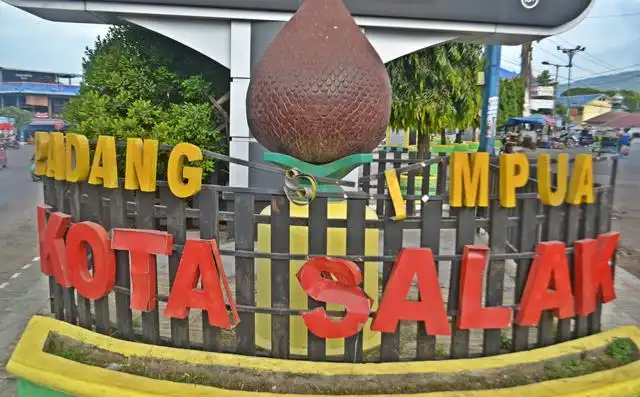Mengapa Padangsidimpuan Dijuluki Kota Salak?