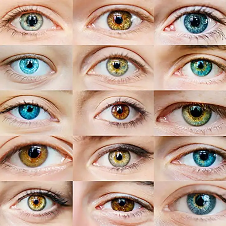 Warna Mata Paling Langka di Dunia: Dari Hijau hingga Heterochromia yang Memukau