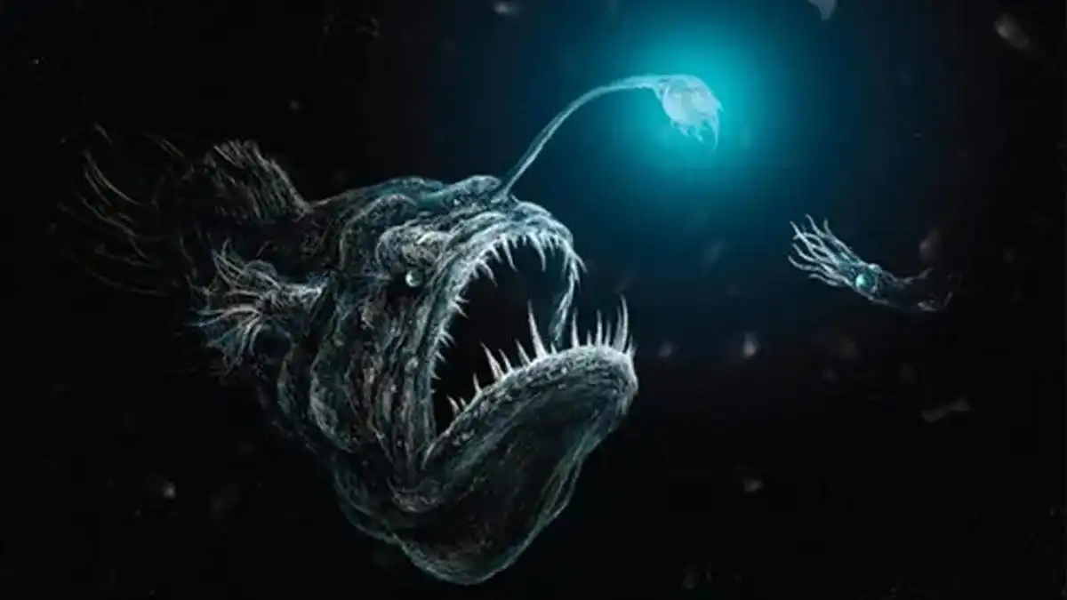 Mengenal Anglerfish: Strategi Bertahan Hidup Paling Aneh di Laut