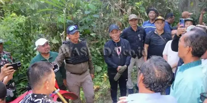 Bupati Taput dan Tapteng Tinjau Pembangunan Jalan Perbatasan, Dukung Konektivitas Antarwilayah