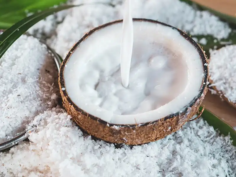 Mengapa Santan Bisa Basi Cepat? Solusi Praktisnya