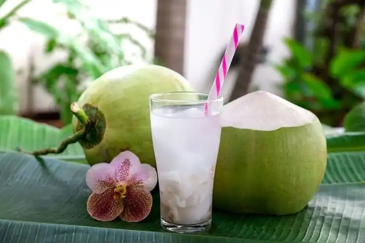Minum Obat Setelah Minum Air Kelapa, Amankah? Ini Fakta yang Perlu Diketahui
