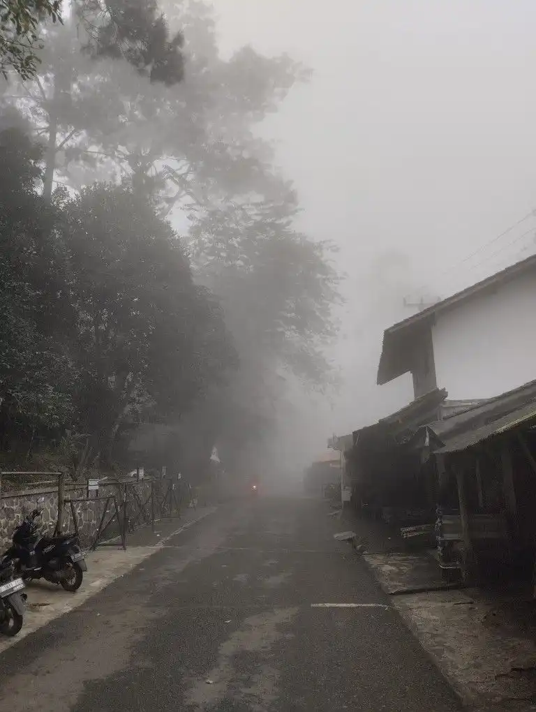 Bagaimana Embun Terbentuk pada Pagi Hari?