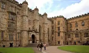 Gak Cuma Kedokteran, Ini 5 Jurusan Kuliah Paling Unik di Dunia