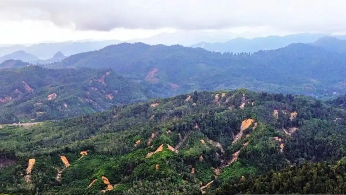 Survei Pascabencana Temukan 330 Titik Longsor di Hulu Sungai Tapanuli Selatan