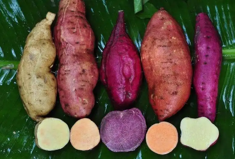 Nasi vs Umbi-umbian: Haruskah Kita Berhenti Makan Nasi Putih?