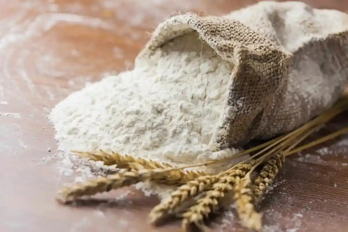 Terlalu Sering Makan Makanan Berbahan Tepung, Apa Dampaknya bagi Tubuh?