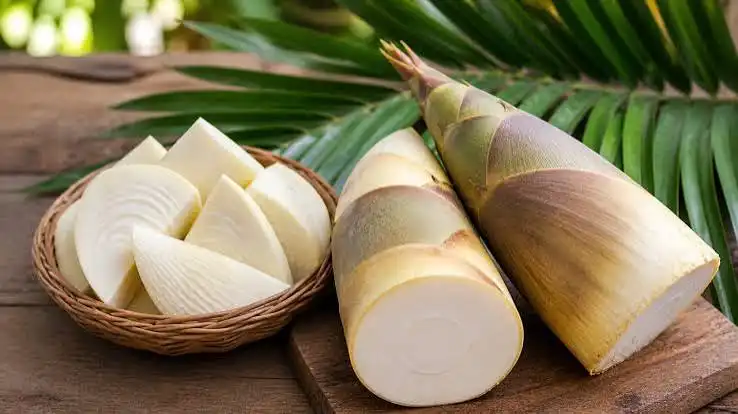 Kenapa Umbut Kelapa Harus Diolah dengan Cara Tertentu? Ini Alasannya