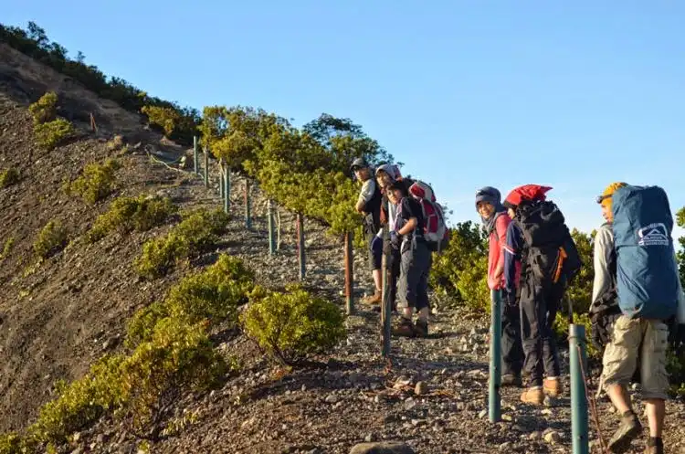 Kenapa Banyak Orang Ketagihan Mendaki Gunung? Ini Alasannya