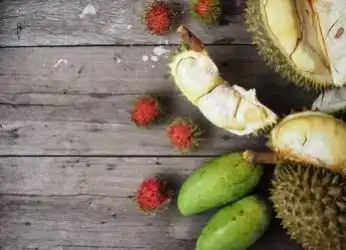 Rambutan, Kueni, dan Durian: Tiga Kekayaan Buah Tropis Indonesia