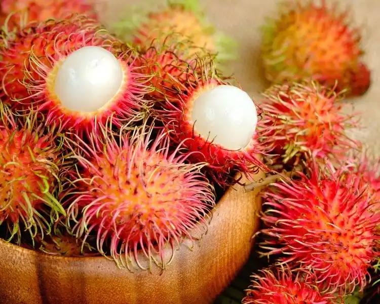 Kandungan Rambutan untuk Skincare: Buah Lokal yang Diam-diam Jadi Bahan Perawatan Kulit