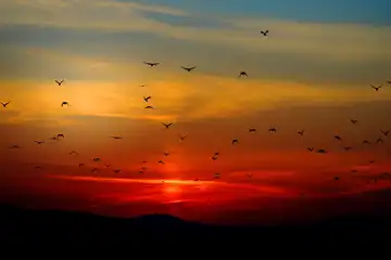 Kenapa Senja Selalu Dikaitkan dengan Perpisahan?
