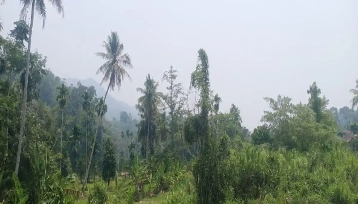 Kabut Asap Mulai Selimuti Sejumlah Wilayah Madina, Sumbernya Masih Belum Diketahui
