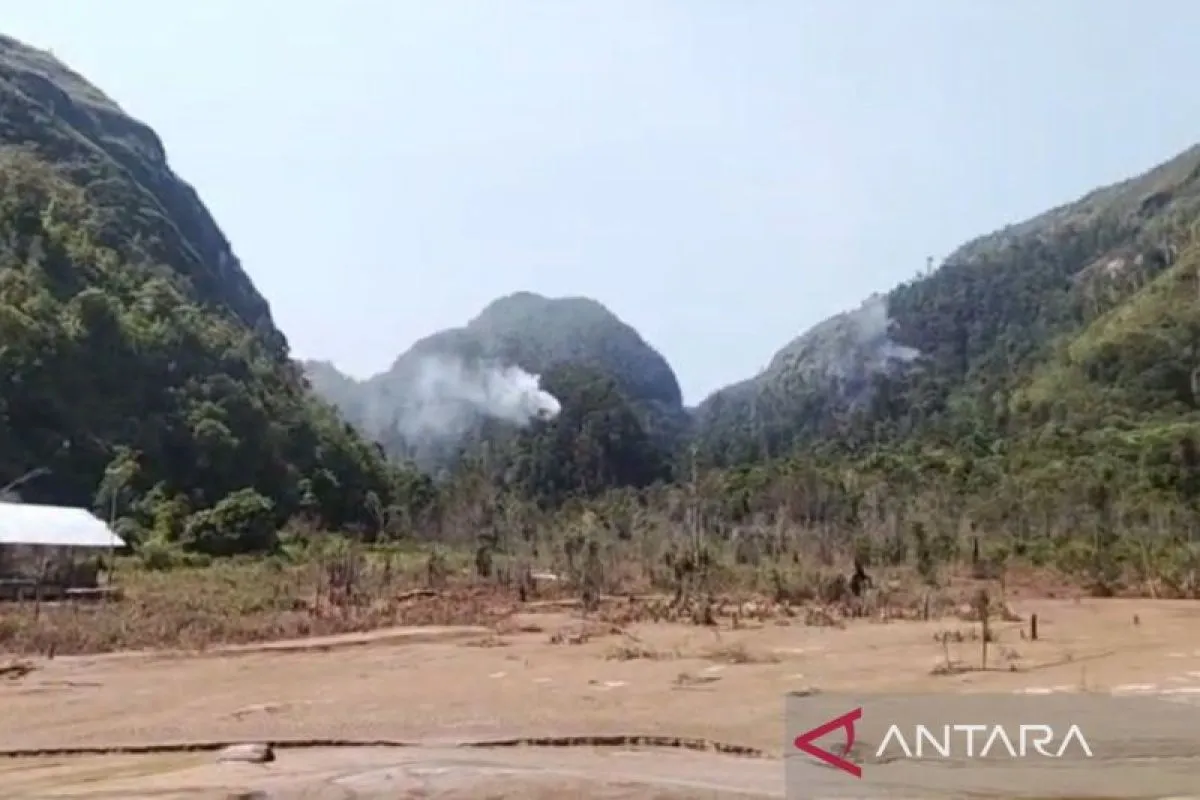 Kebakaran Hutan Terpantau di Jalur Lintas Barat Tapanuli Selatan–Madina