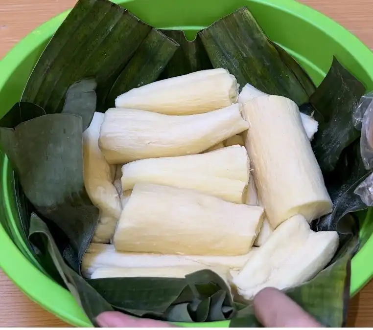 Tape Bukan Sekadar Camilan Manis, Ini Kandungan dan Manfaat yang Perlu Diketahui