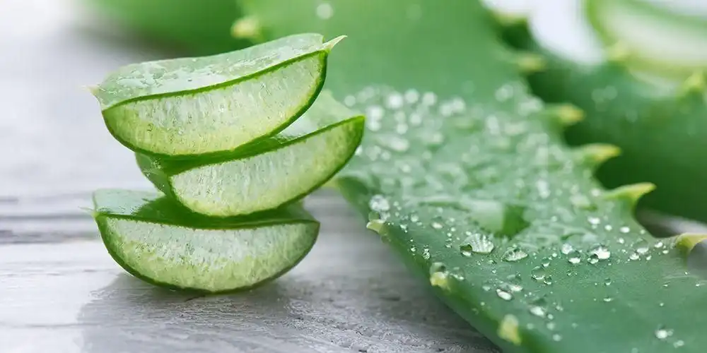 Buget Anak Kos Tipis? Tenang, Ada 5 Tumbuhan yang Dapat Dijadikan Masker Alami