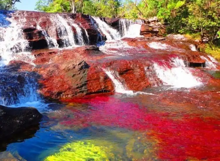 Sungai Caño Cristales Menemukan Pelangi yang Jatuh ke Bumi