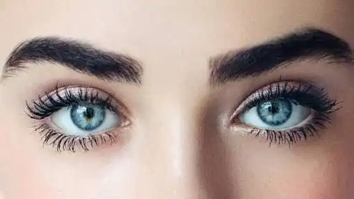 Mengapa Warna Mata Orang Eropa Beragam? Mengungkap Sejarah Mutasi Genetik di Baliknya