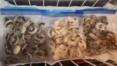Cara Menyimpan Jamur agar Tidak Cepat Busuk dan Berlendir