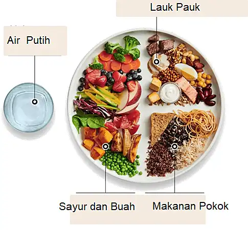 Gizi Seimbang untuk Semua Usia: Kunci Menjaga Kesehatan Sepanjang Kehidupan