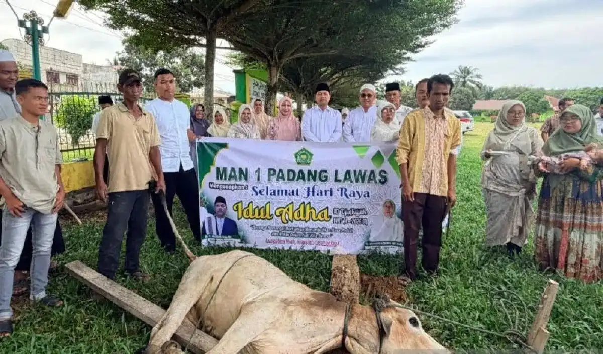Kemenag Palas sembelih 16 ekor sapi kurban