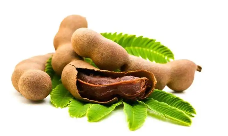 Fakta Menarik tentang Asam Jawa, Buah dengan Rasa Asam yang Kaya Manfaat