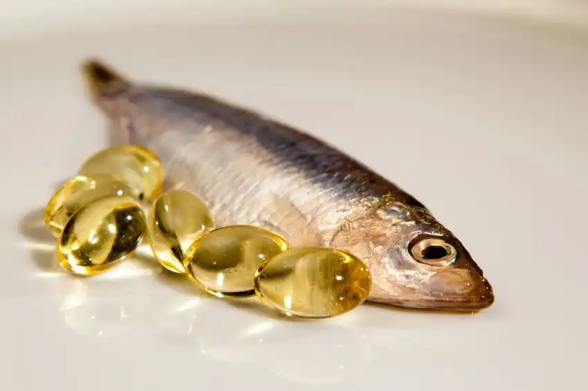 Ikan dengan Kandungan Omega-3 Tertinggi: Rahasia Nutrisi Penting untuk Otak dan Jantung