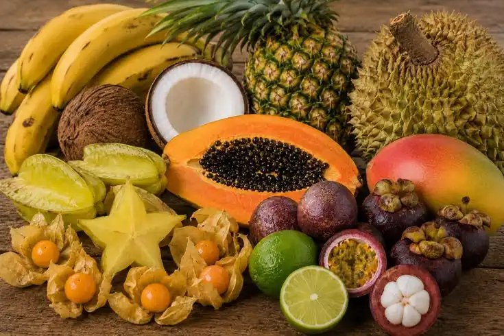 Buah Tropis hingga Subtropis, Apa Perbedaan Keduanya? Ini Penjelasannya