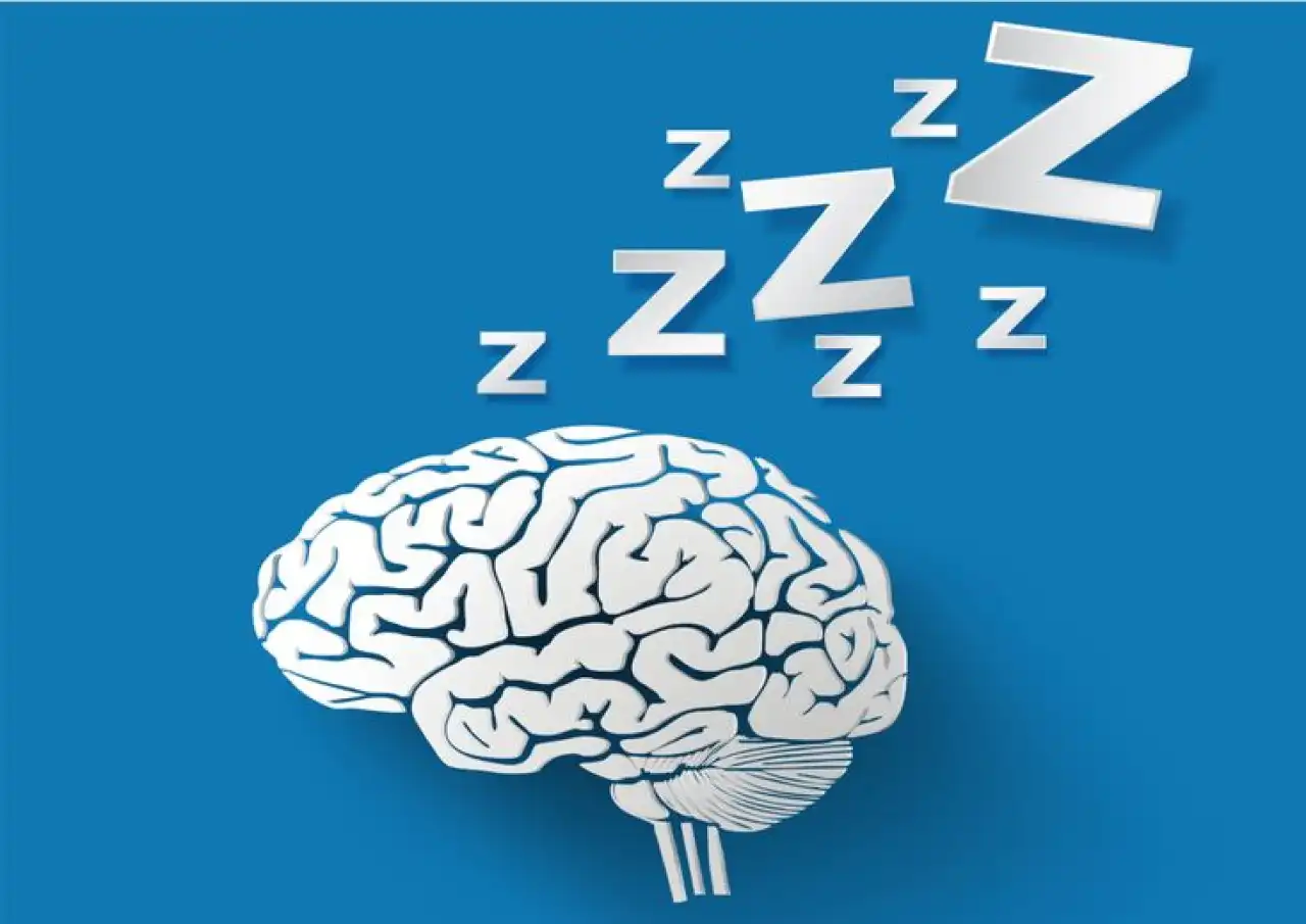 Benarkah Otak Lebih Aktif Saat Tidur? Ini Penjelasan Ilmiahnya