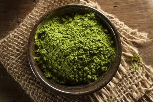 Rahasia di Balik Segelas Matcha: Sebenarnya Terbuat dari Apa?
