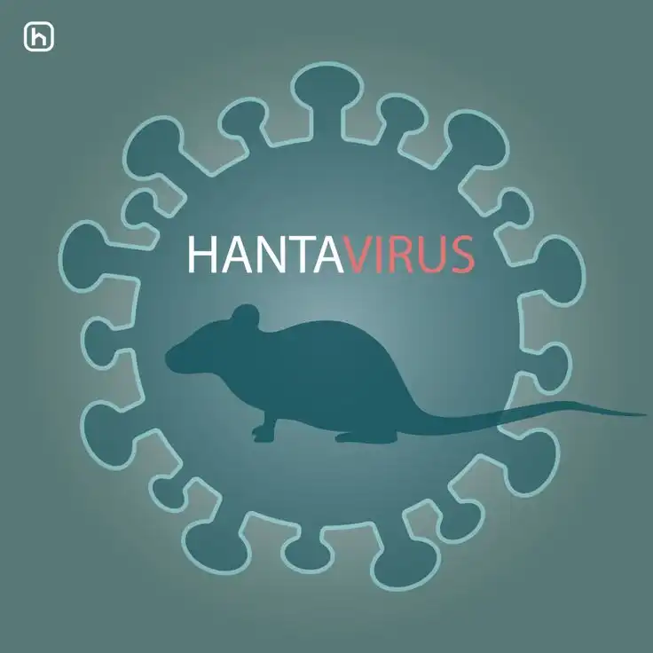 Kenali Gejala Hantavirus dan Cara Mencegah Penularan dari Tikus