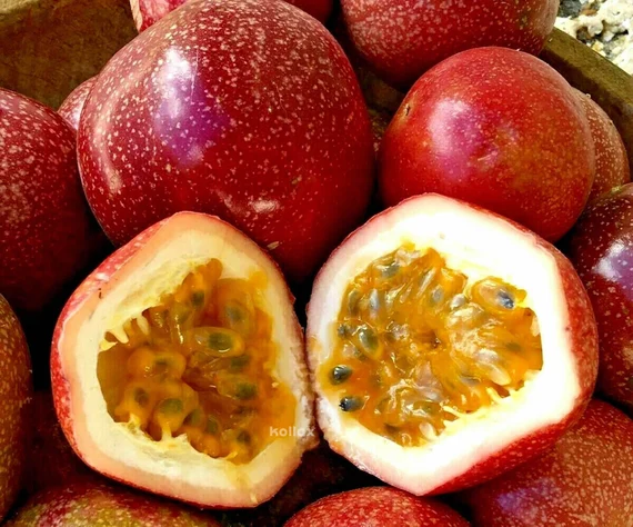 Makin Keriput, Makin Manis