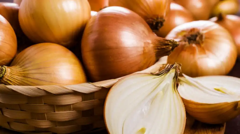Mengenal Bawang Bombay, Bahan Makanan Rockstar di Dunia Kuliner