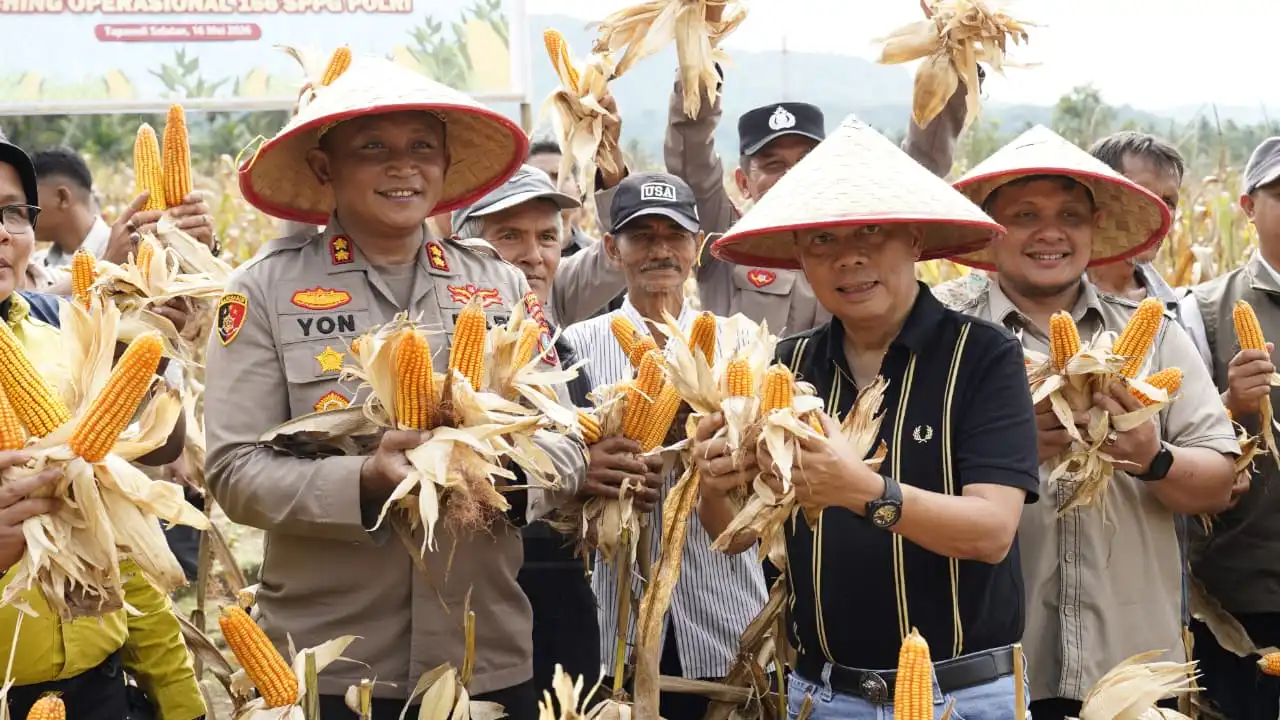 Presiden Prabowo Subianto Pimpin Panen Raya Jagung Serentak Kuartal II, Wakil Bupati Tapanuli Selatan Ikuti Zoom Nasional dari Batang Angkola