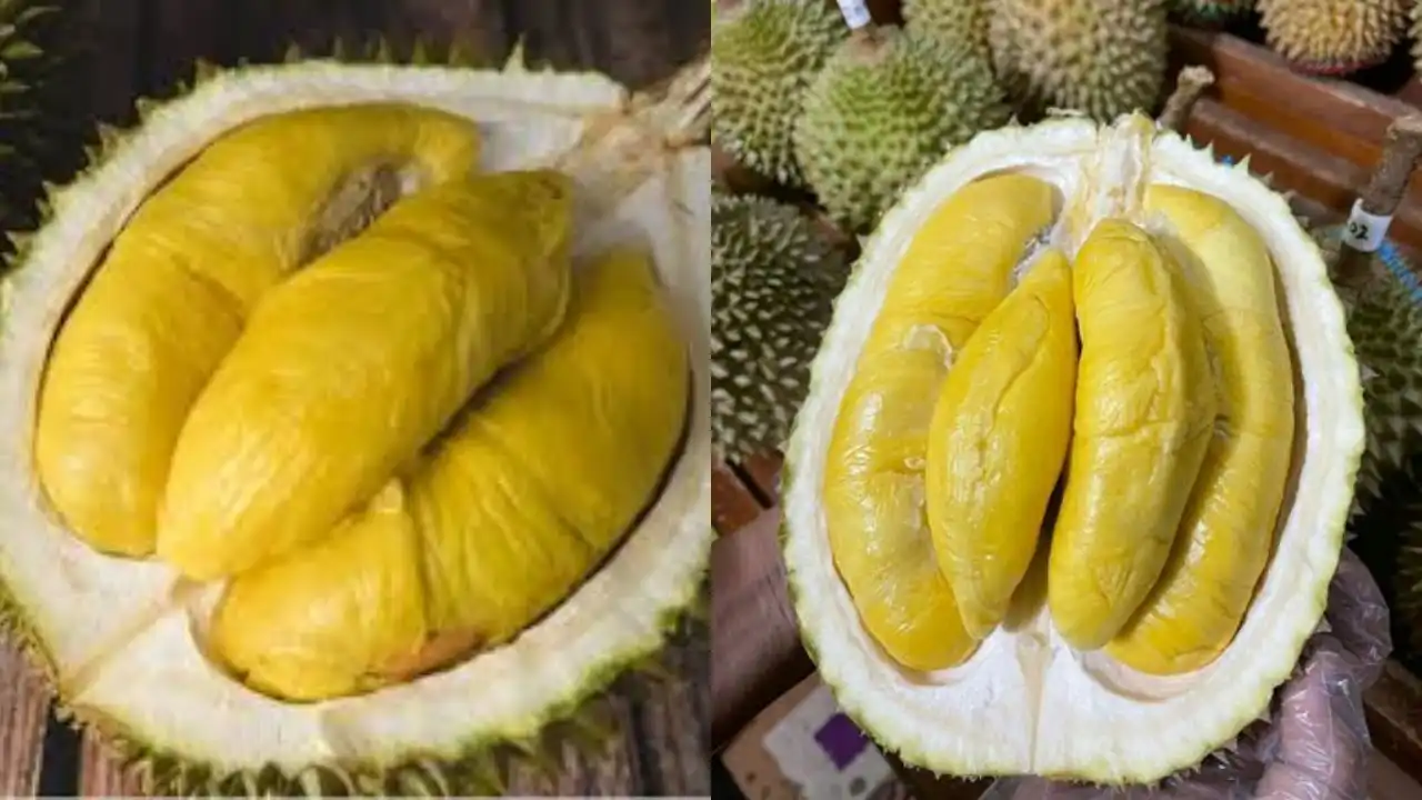 Mengapa Durian Disebut Raja Buah? Ternyata Ada Ceritanya