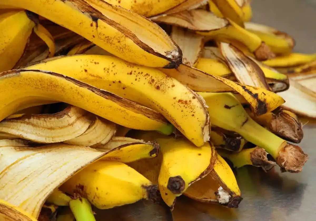 Kulit Pisang Jangan Langsung Dibuang, Ada Beberapa Cara Kreatif untuk Memanfaatkannya