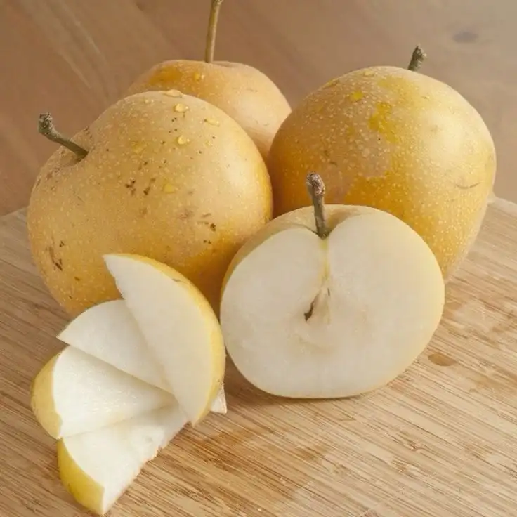 Buah Pir: Si Underdog yang Ternyata Kaya Manfaat dan Tak Sekadar Buah Besukan