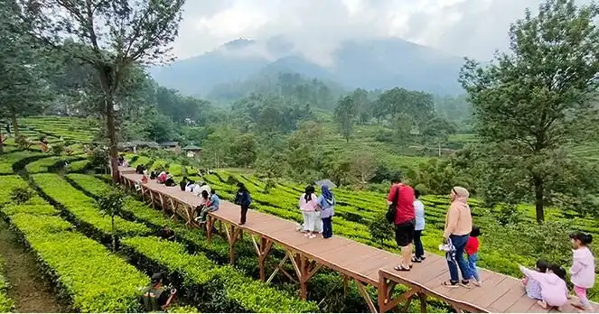 Wisata Alam: Tren Healing Sesaat atau Solusi Kesehatan Mental?