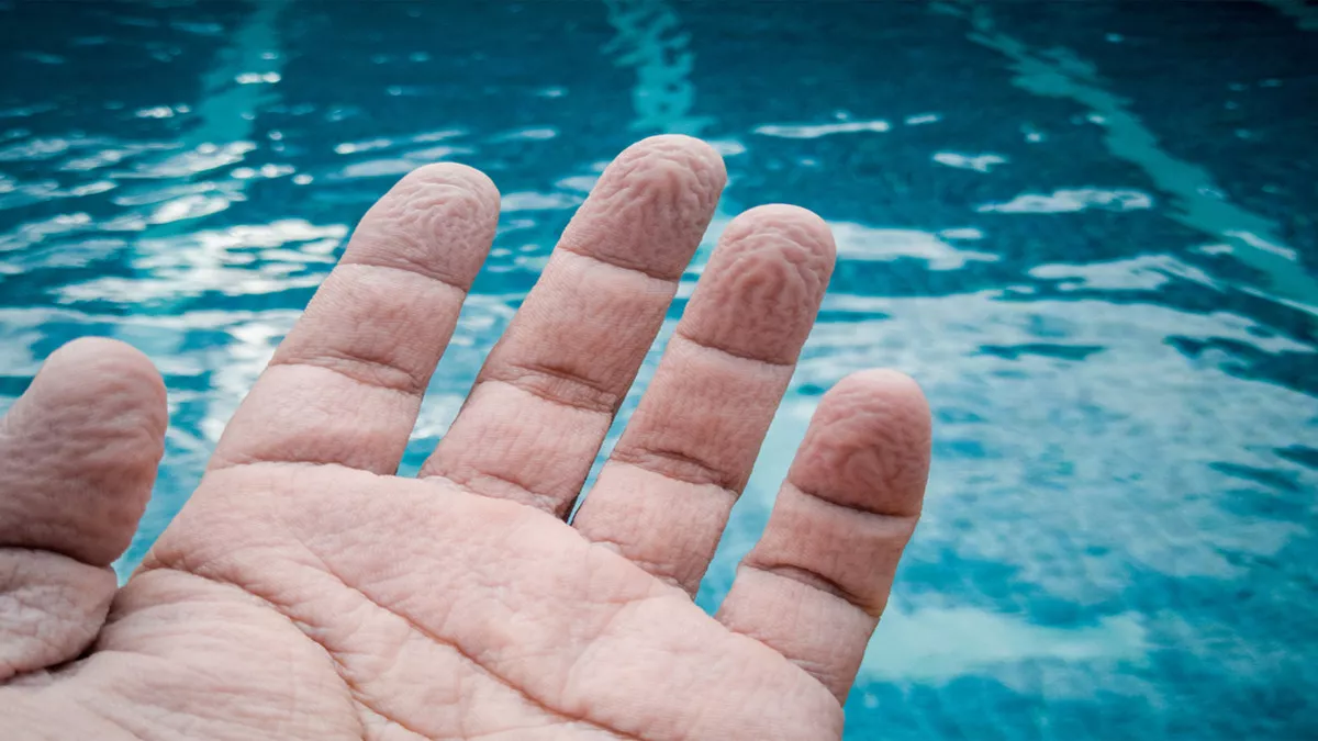 Mengapa Jari Bisa Keriput Saat Berenang? Ini Penjelasan Ilmiahnya