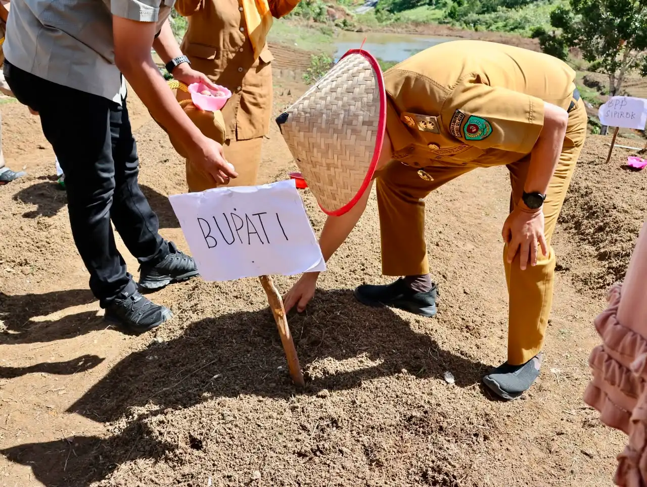 Pemkab Tapanuli Selatan dan Pemprov Sumut Tanam Perdana Bawang Merah di Huntara Aek Latong, Dorong Pemulihan Ekonomi Warga