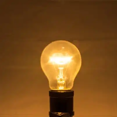 Kenapa Lampu Pijar Digunakan untuk Menghangatkan Anak Ayam yang Baru Menetas?