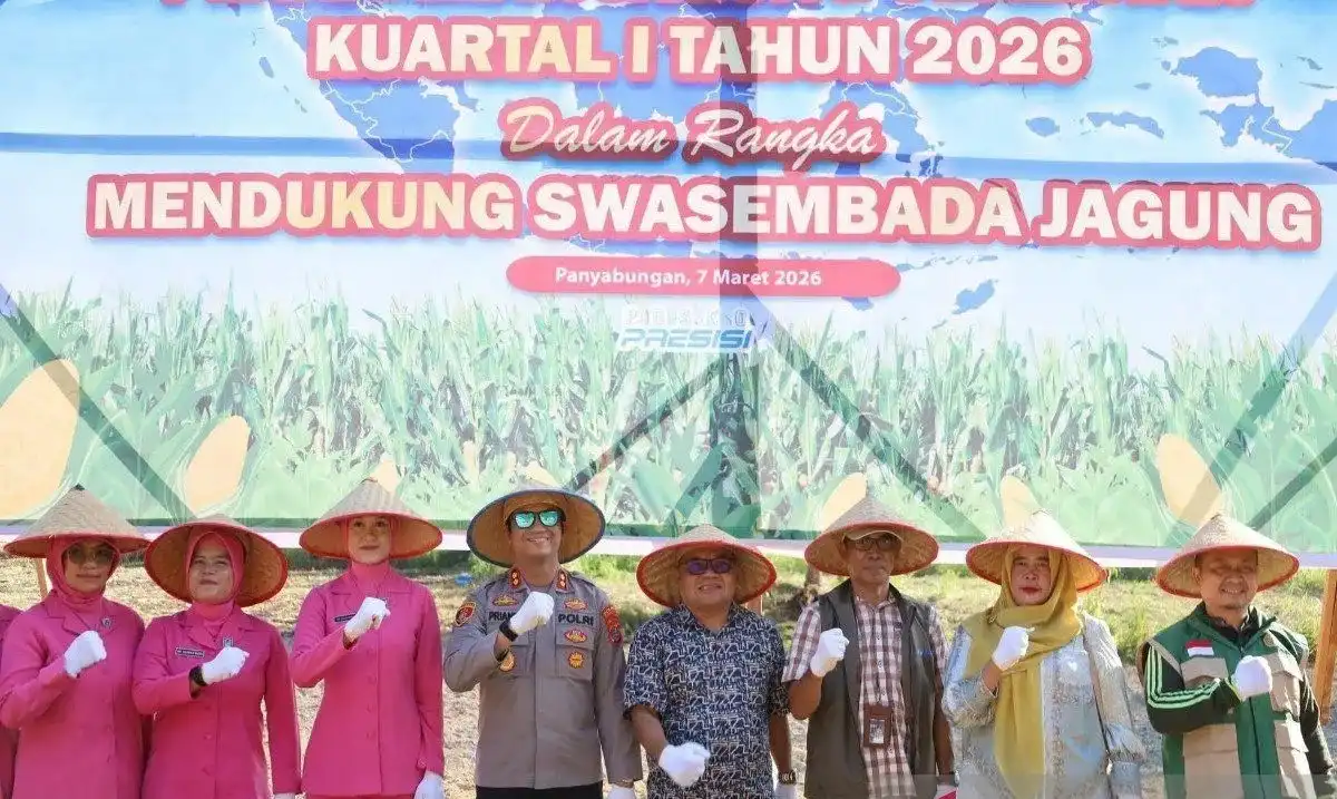 Polres dan Pemkab Madina Tanam Jagung Serentak Dukung Program Swasembada Pangan