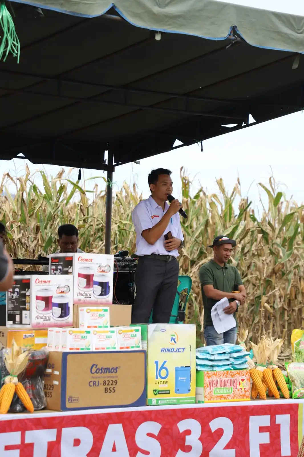 Panen Jagung Betras 32 di Arse Nauli Capai 8 Ton per Hektare, Wabup Tapsel Ajak Masyarakat Maksimalkan Lahan dan Manfaatkan KUR Nol Persen