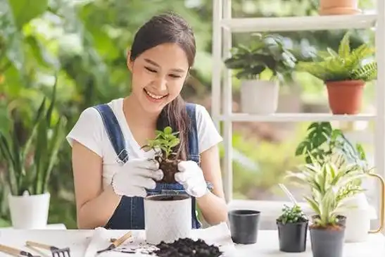 Mengapa Menanam Tumbuhan Baik untuk Kesehatan Mental?